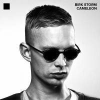 Birk Storm