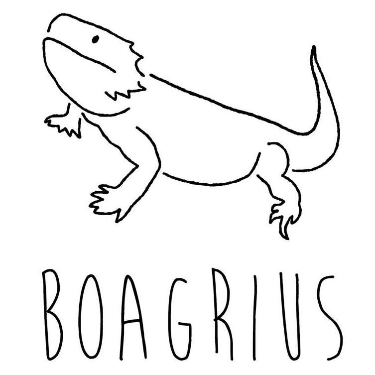 BOAGRIUS