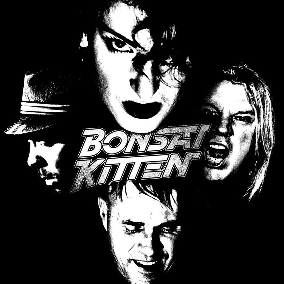 Bonsai Kitten