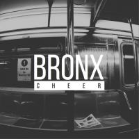 Bronx Cheer