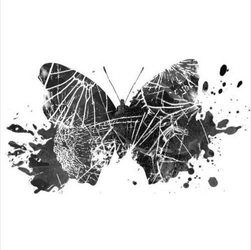 Butterfly Crash