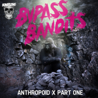 Bypass Bandits