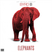 Byrd B