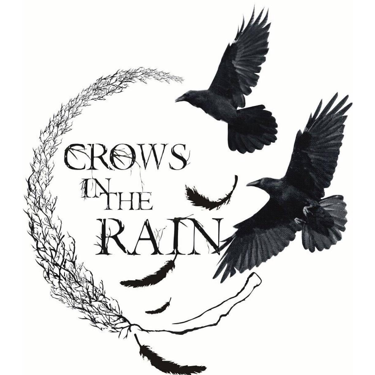 Crows in the rain