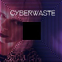 Cyberwaste