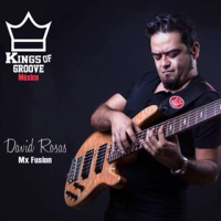 David Rosas, Bajista