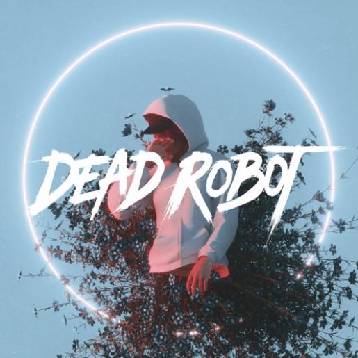Dead Robot