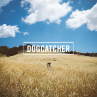 Dogcatcher