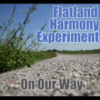 Flatland Harmony Experiment