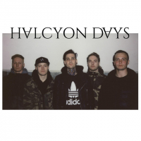 Halcyon Days at Vultures
