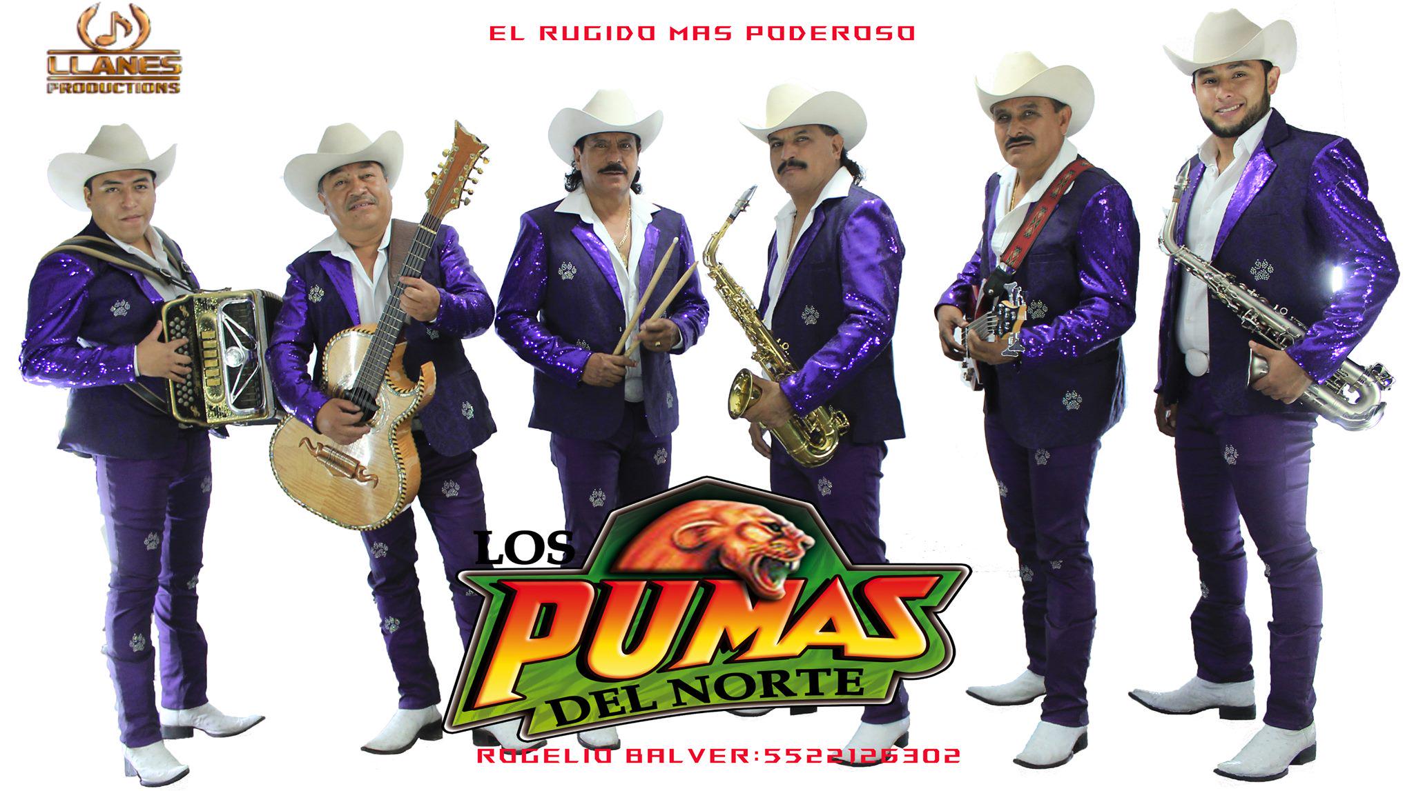 Los Pumas Del Norte