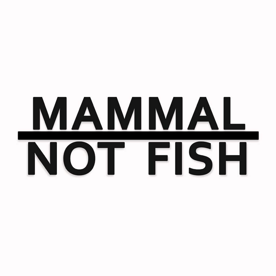 Mammal Not Fish