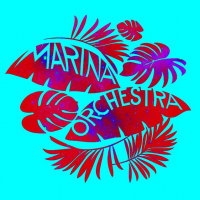 Marina Orchestra