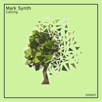 Mark Synth