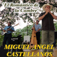 Miguelangel Castellanos