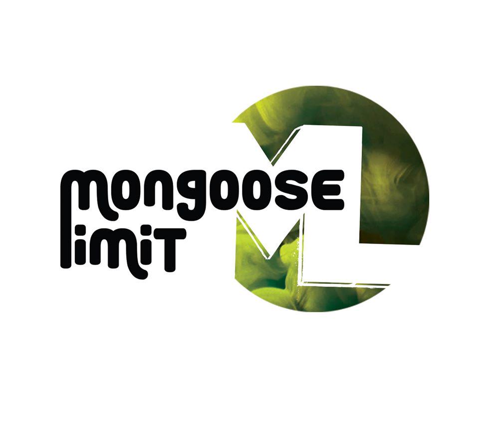 Mongoose Limit