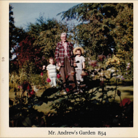 Mr. Andrew's Garden