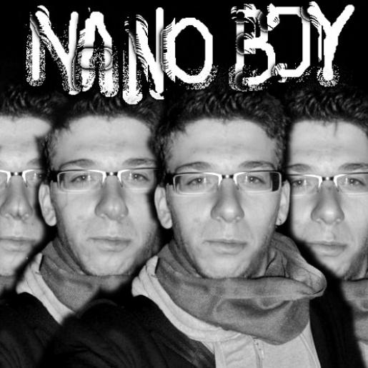 Nanoboy