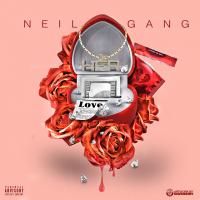 Neil Gang