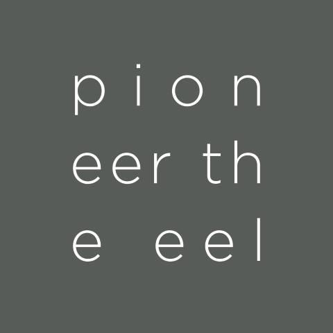 Pioneer the EEL