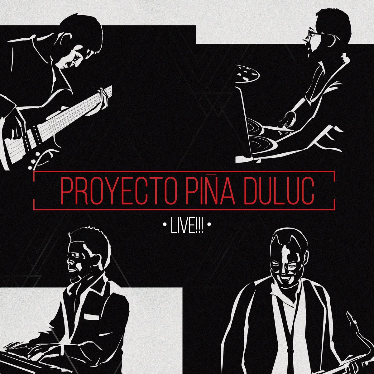 Proyecto Piña Duluc