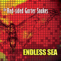 Red Sided Garter Snakes