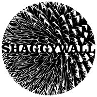 ShaggyWall