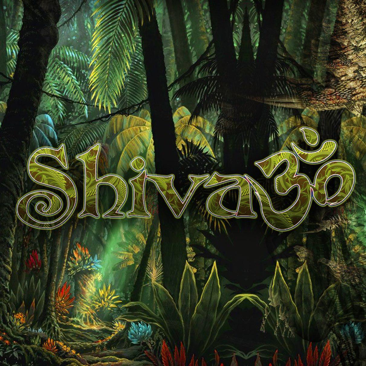 Shiva3