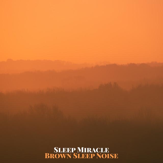Sleep Miracle