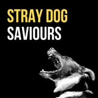 Stray Dog Saviours