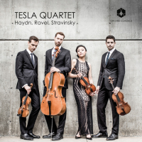 Tesla Quartet