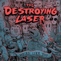 The Destroying Laser