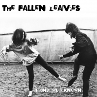 The Fallen Leaves at NE Volume Music Bar