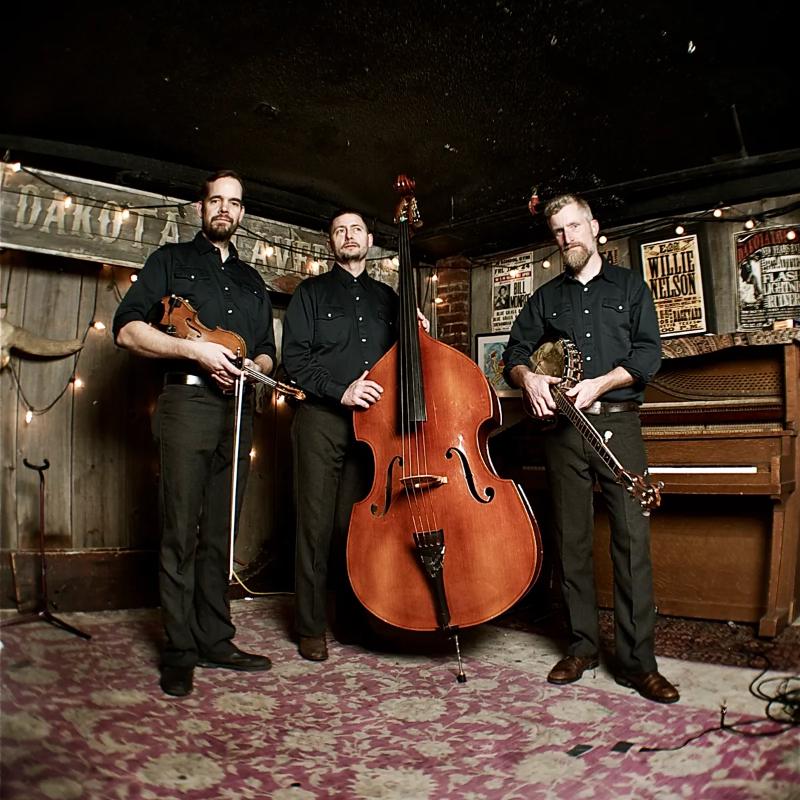 The Lonesome Ace Stringband at The Robin Theatre