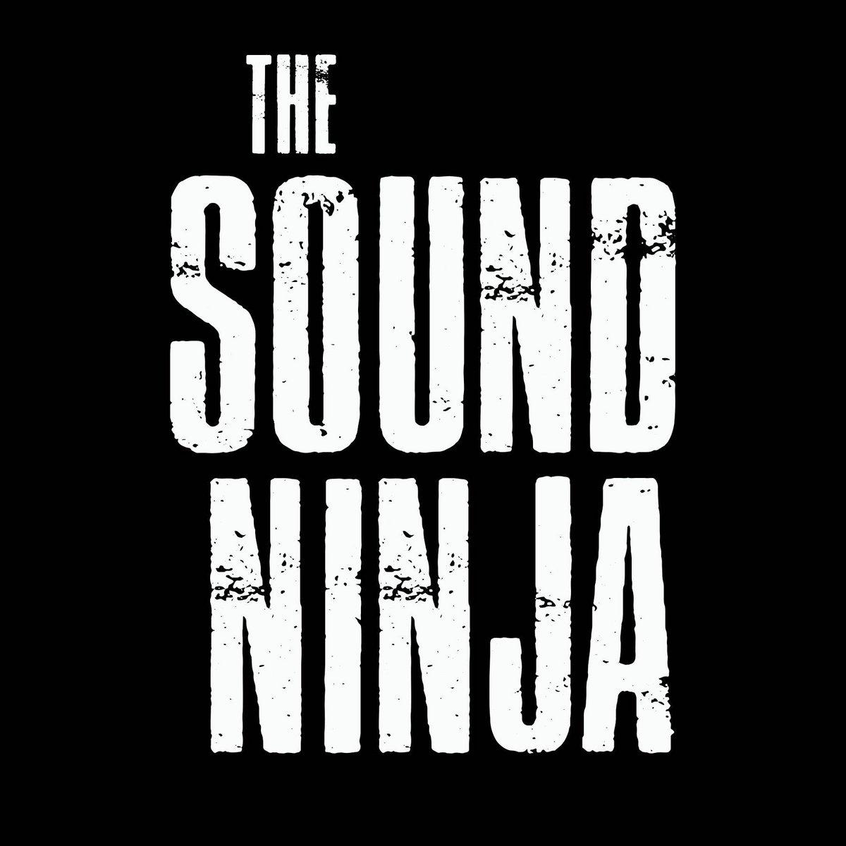 The Sound Ninja