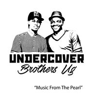 The Undercover Brothers