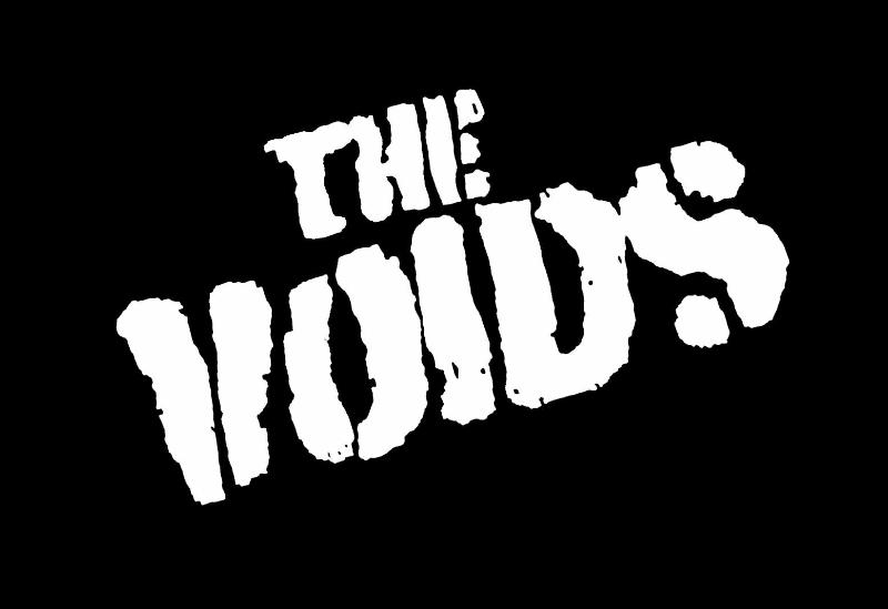 The Voids