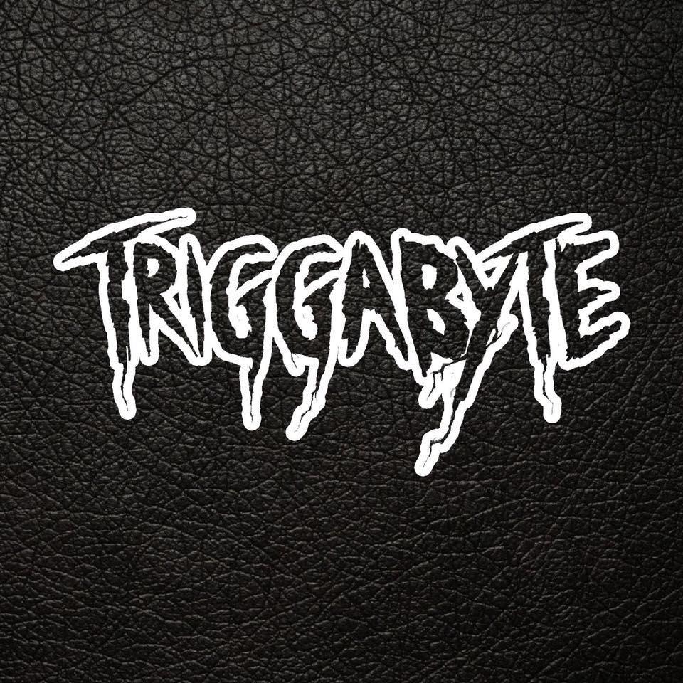 Triggabyte