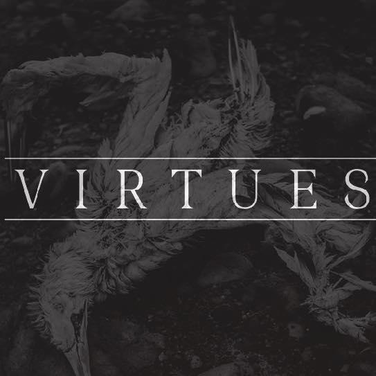 Virtues at Vinnies Dive