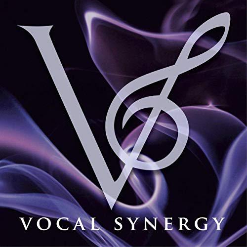 Vocal Synergy