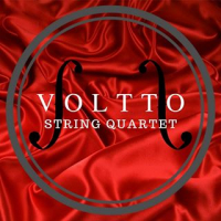 Voltto String Quartet
