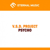 V.S.D. Project