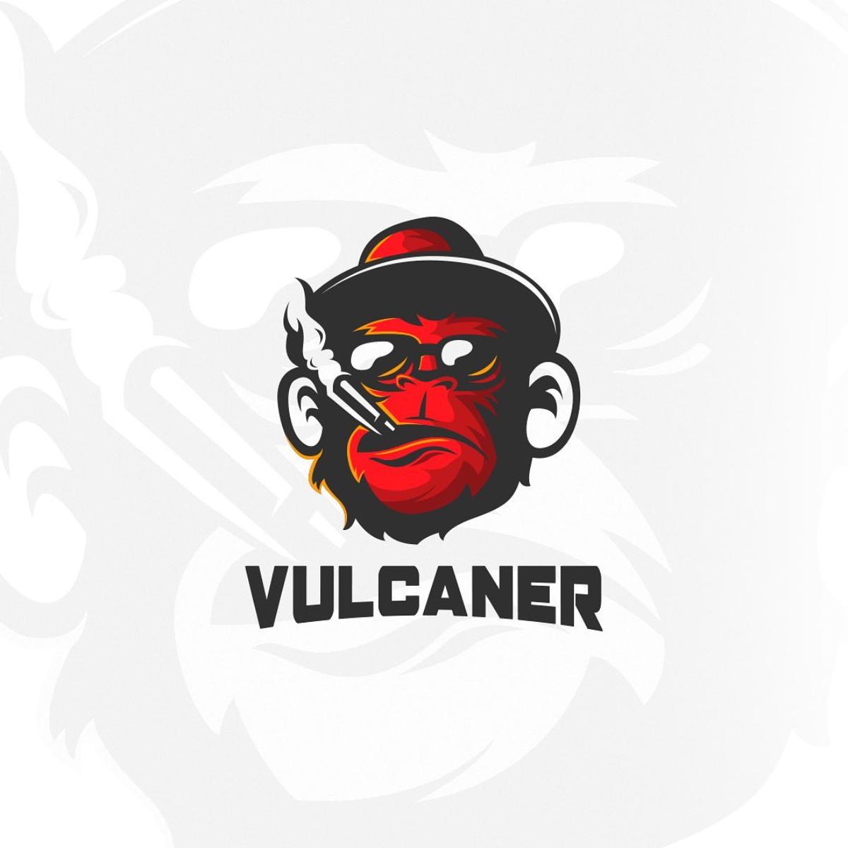 Vulcaner