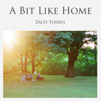 Zach Torres