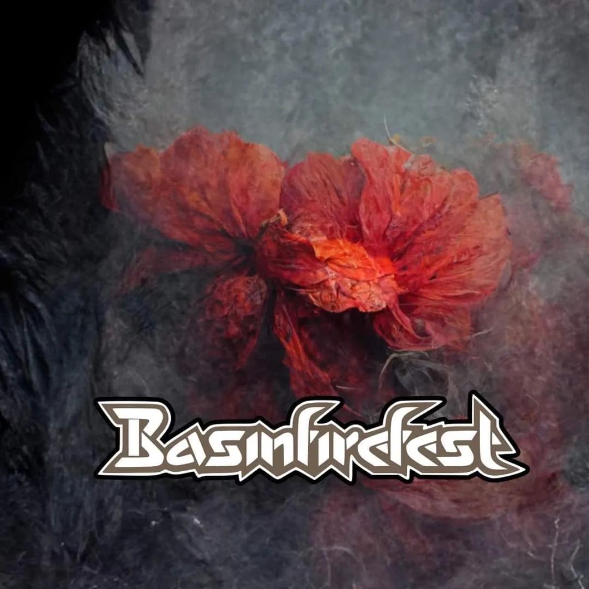 Basinfirefest