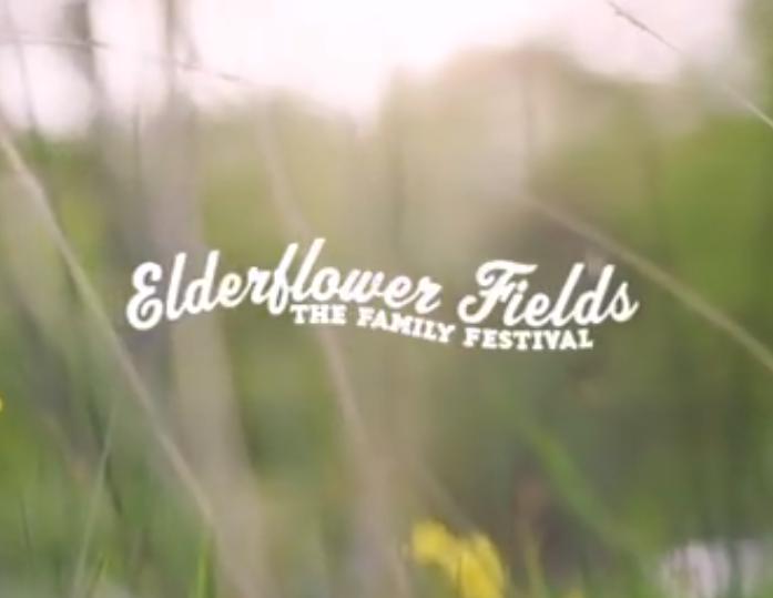Elderflower Fields - South