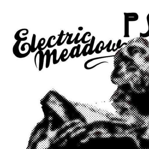 Electric Meadow