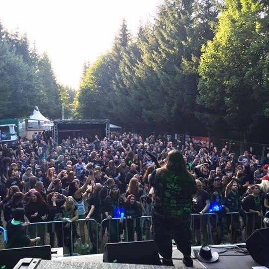 Everything You Need to Know About Kaltenbach Open Air