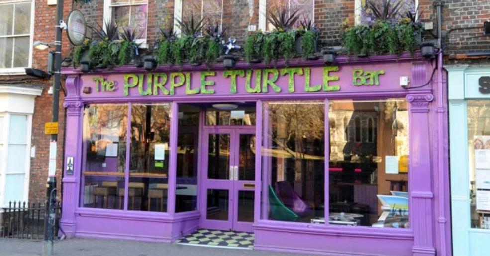 Purple Turtle Reading